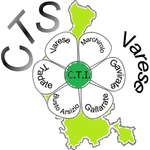 logo link Cts Cti Varese